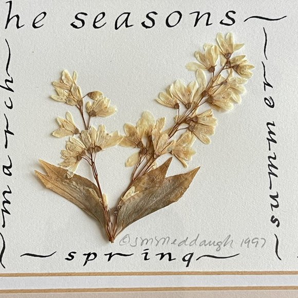 Shabby Dry Flowers in Frame Celebrate The Seasons - Framed Floral‎ Art Decor/ - Picture 4 of 16